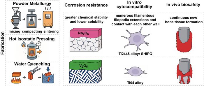 Novel Titanium Alloy Promises Safer, Cost-Effective Solutions for Biomedical Implants