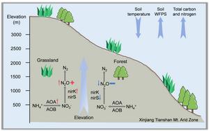 Soil N2O emission along an elevation gradient in the arid zone of Xinjiang, Northwestern China