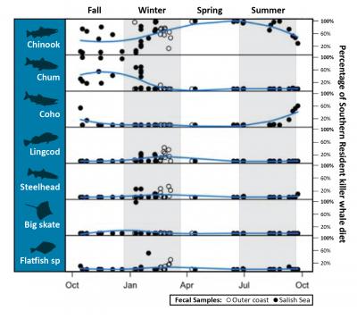 Prey proportion of diet