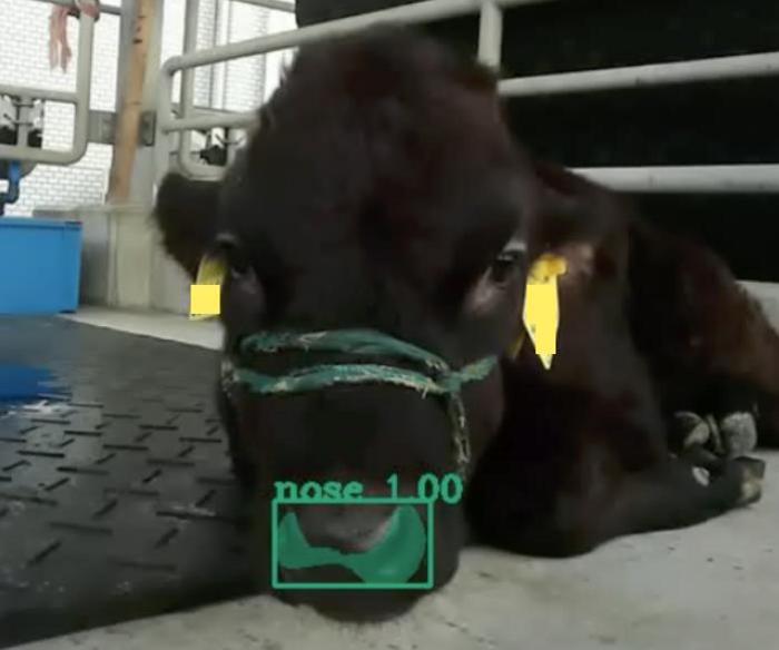 Tracking breathing with video data