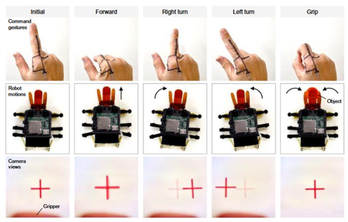 KAIST Develops a Beetle-Inspired Soft Robot That Operates with Artificial Muscles and Sensory Feedback