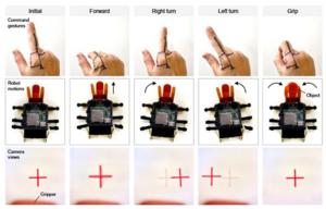 KAIST Develops a Beetle-Inspired Soft Robot That Operates with Artificial Muscles and Sensory Feedback