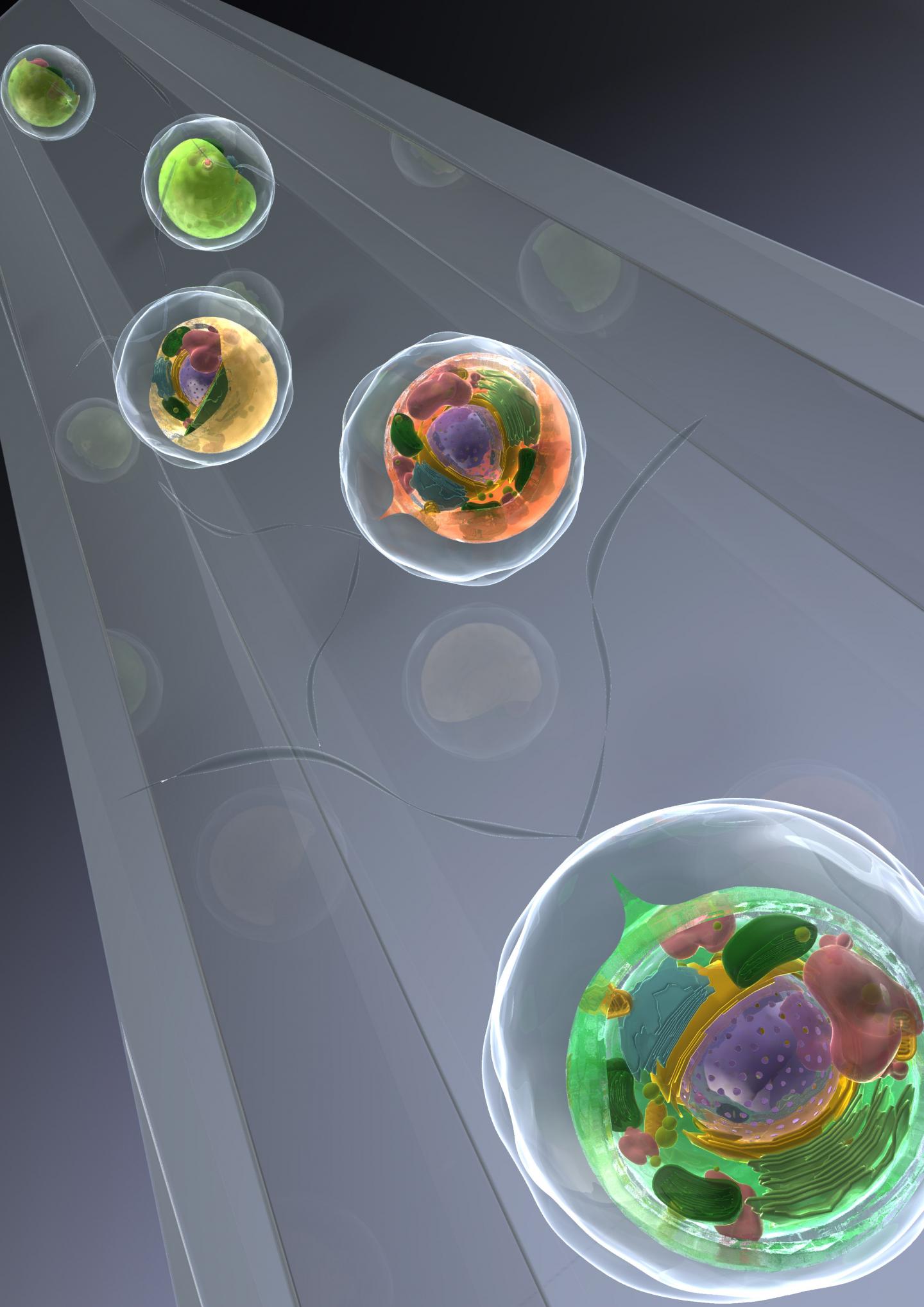 High-throughput label-free molecular fingerprinting flow cytometry (1 of 3)