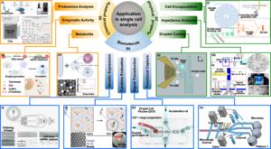 Fig. 5. Application in single-cell analysis.