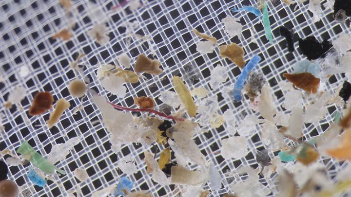 Marine Microplastics Research