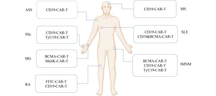 Fig1