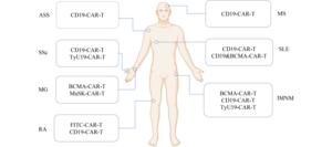 Fig1