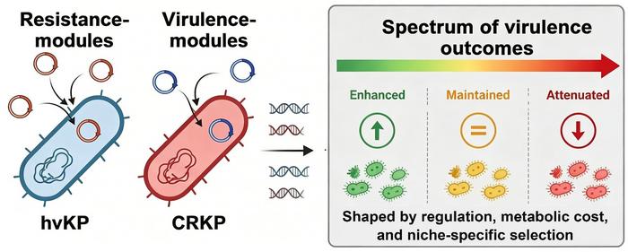 The "Virulence Phenotype-First" Framework for Assessing CR-hvKP Clinical Risk