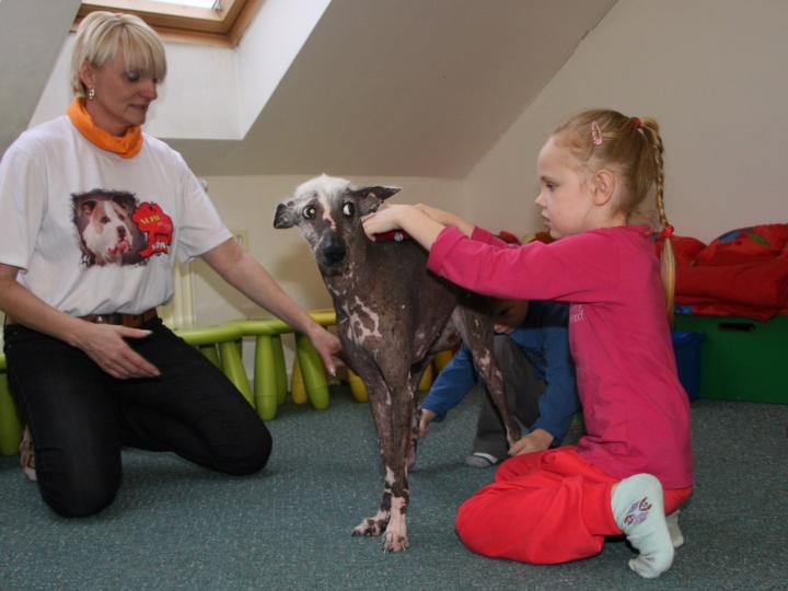 Mgr. Iva Bajtlerová Conducting a Speech and Language Therapy Session with 5-Year Old Andrea