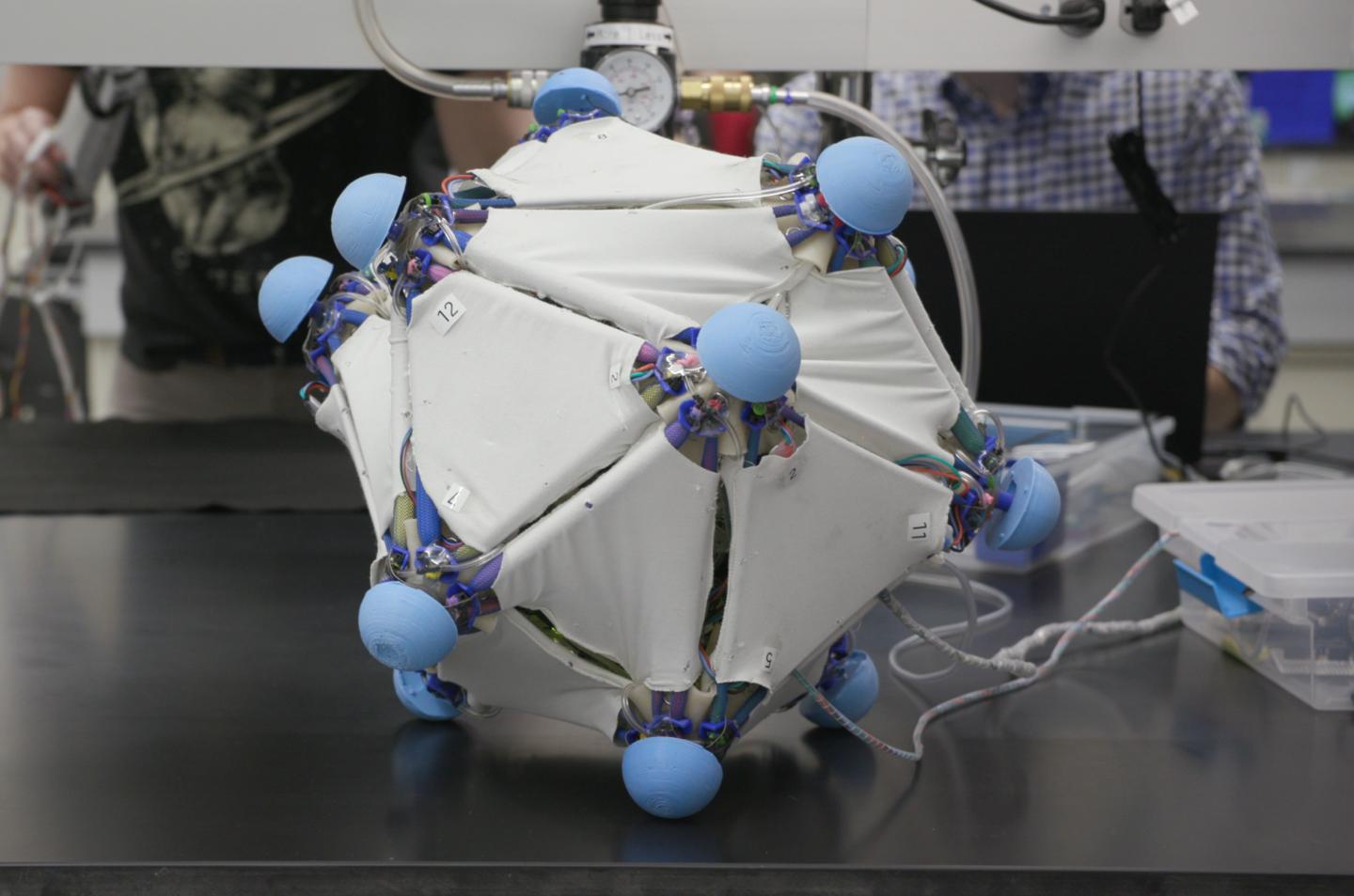 Robotic Skins