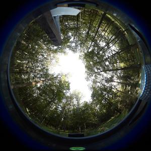 Hemispherical canopy photograph of a large, elongated gap