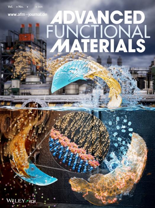 [Figure 3] Inside Back Cover for the journal Advanced Functional Materials