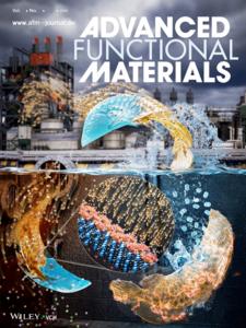 [Figure 3] Inside Back Cover for the journal Advanced Functional Materials