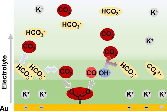 REDUCTION PROCESS OF CO2 IN CO2-SATURATED KHCO3 SOLUTION OVER AU CATALYST