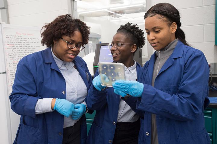Students Isolated, Identified and Genetically Sequenced the Genome of a Yimella Bacterium