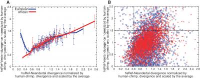 Neandertal Genome Sequenced (2 of 9)