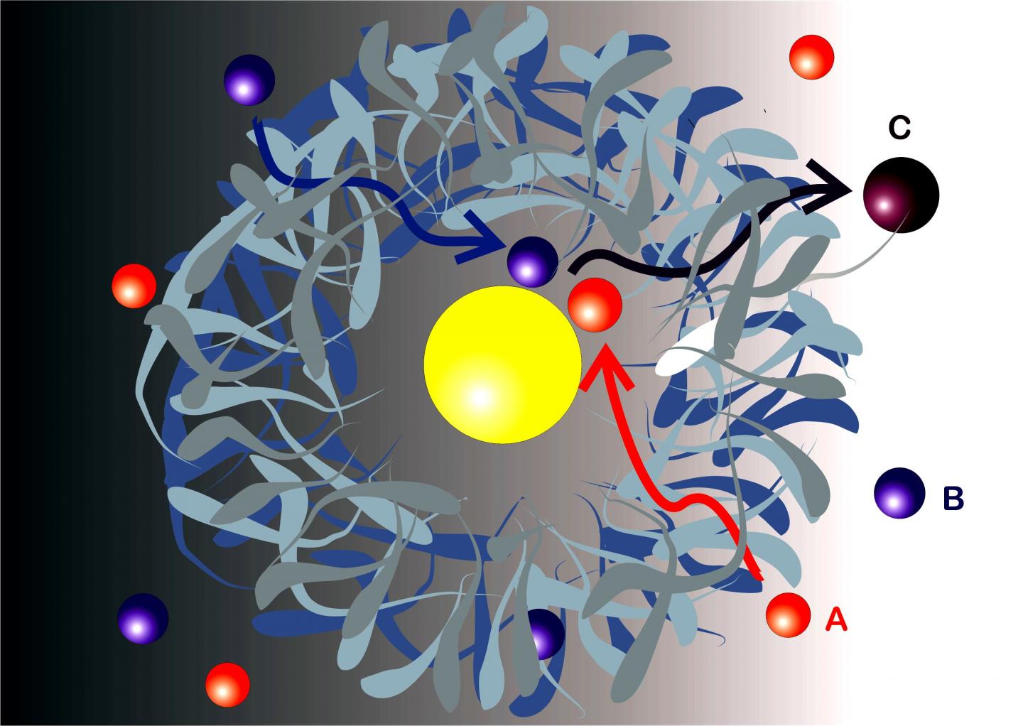 Sketch of a Yolk-Shell-Type Nanoreactor