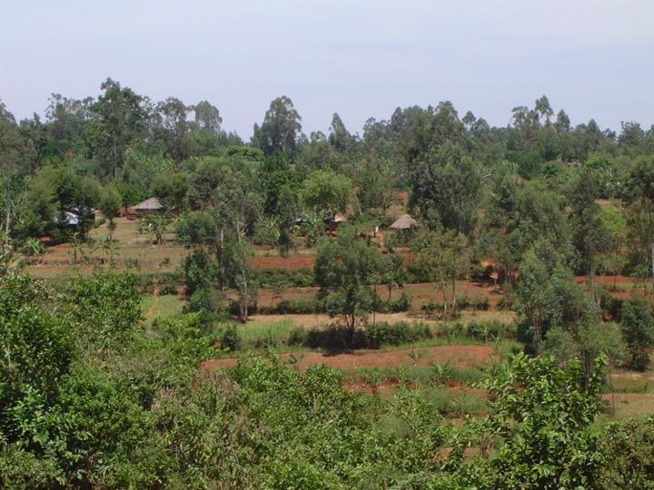Sauri Village Cluster