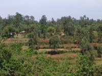 Sauri Village Cluster