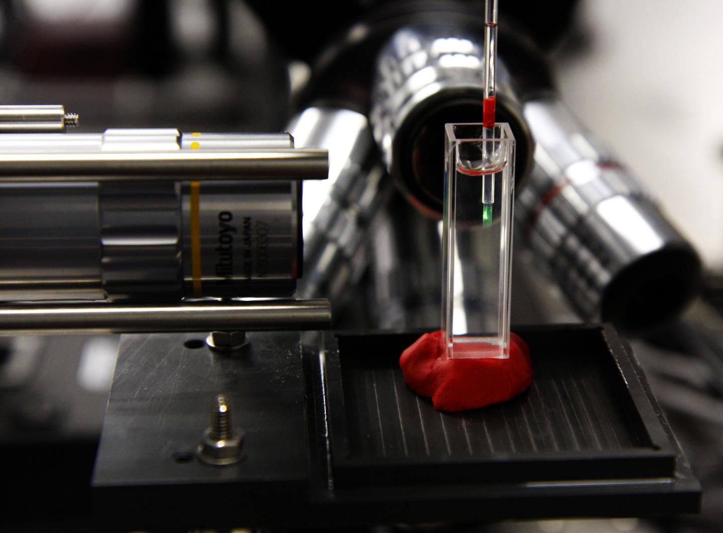 New Technique Captures Real-Time Diagnostic 3-D Images