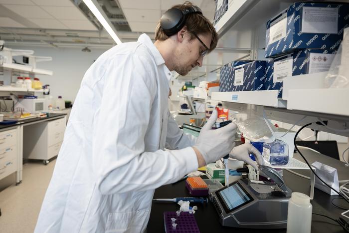 Helper T cells being grown in lab