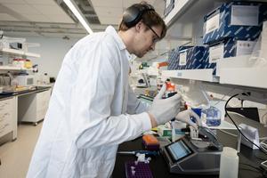 Helper T cells being grown in lab