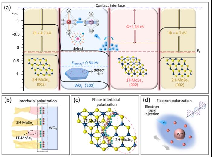 Schematic diagram of broadband absorption mechanism