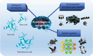 健康・医学 Brain Mechanisms and Spatial Vision 健康・医学 Brain Mechanisms and Spatial Vision Brain Mechanisms