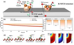 Ethanol and carbon dioxide catalyst reaction mechanism in anode and the operation stability of T-SOFC with NFCO reforming catalyst