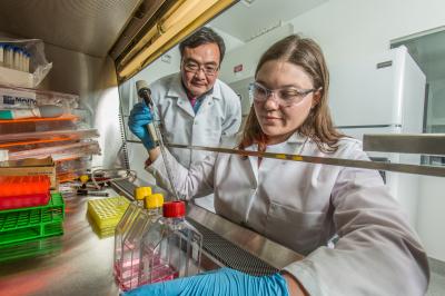 INBRE-Funded Scientist and Student at Work in the Lab