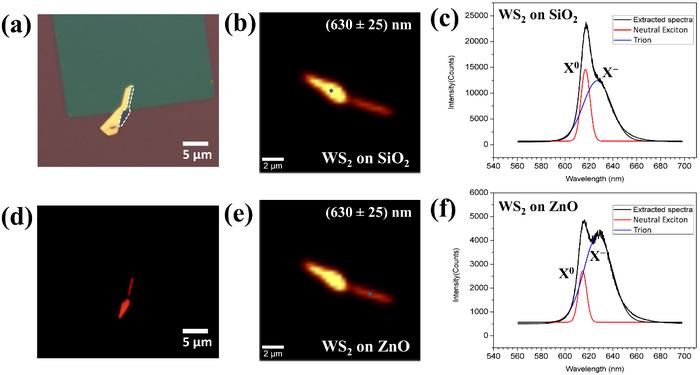 Selective Enriching of Trionic Emission in a WS2-ZnO Hybrid through Type-II Band Alignment