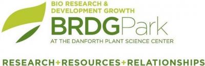 BRDG Park Logo