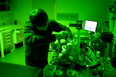 Sergey Koroidov, Ume&#229; University