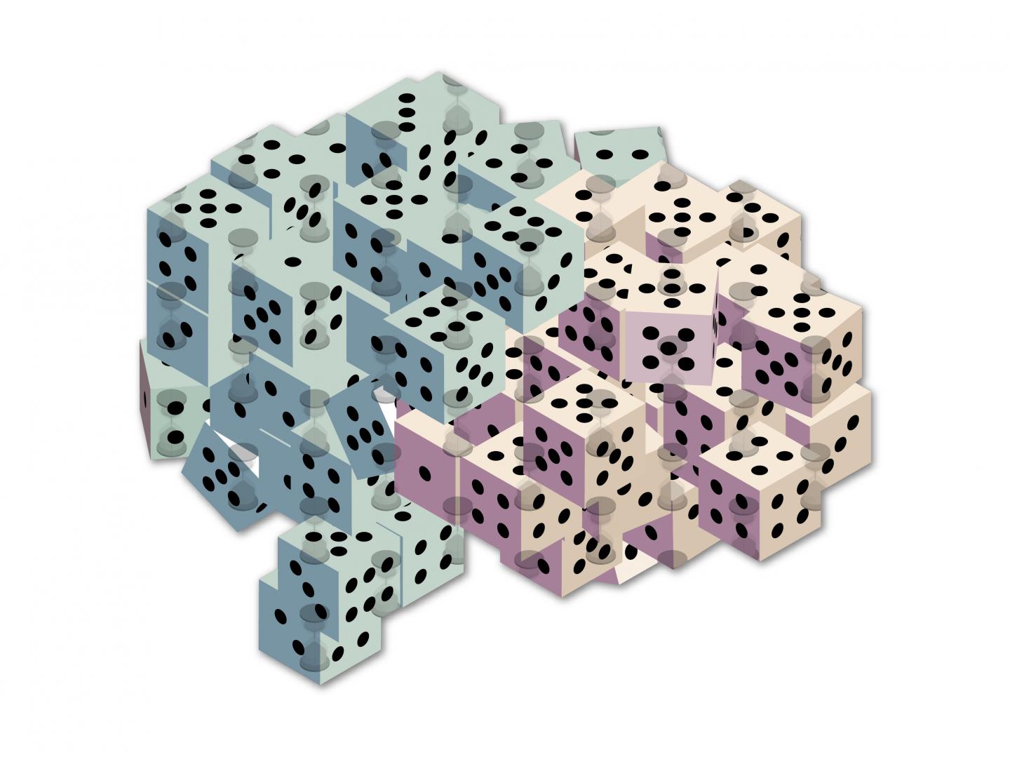 Brain Regions Introduce Predictability and Randomness