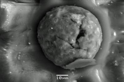 Carbon Spherule