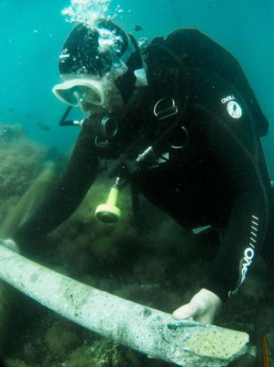 ROMACONS Diver