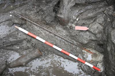 La Draga Neolithic Site in Banyoles Yields the Oldest Neolithic Bow Discovered in Europe
