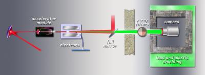 Betatron Radiation Emittance Experiment