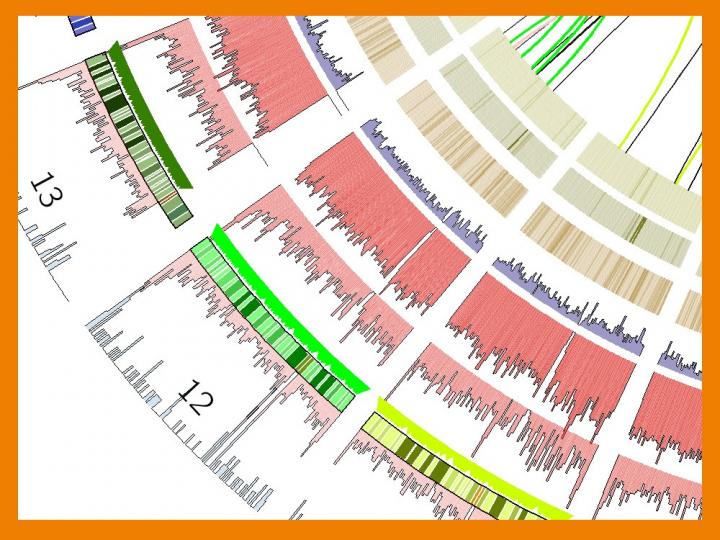 Detail of a Representation of a DNA Variants Map