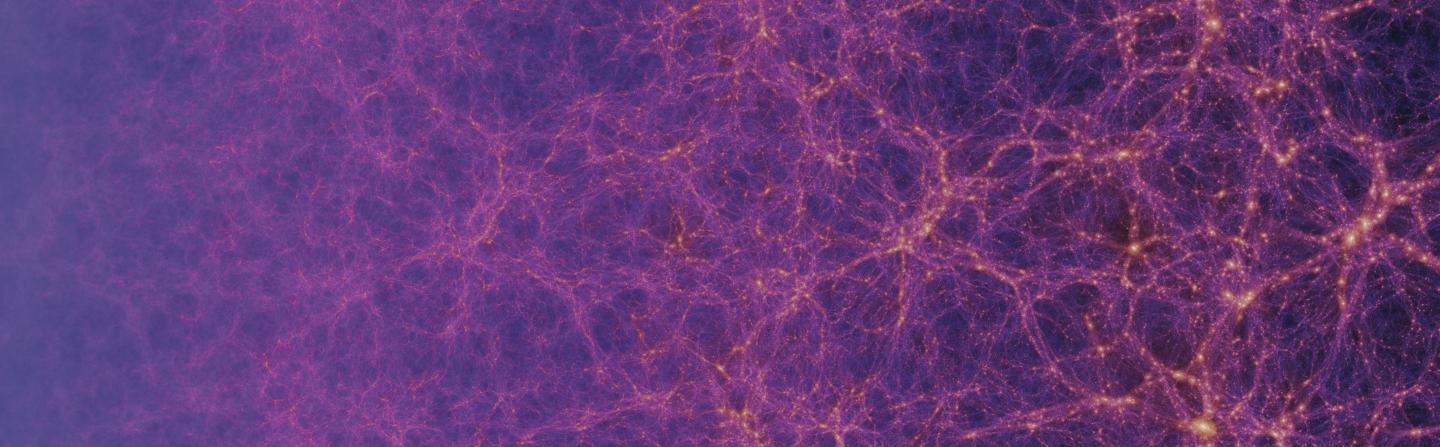 Dark Matter in EAGLE Simulation
