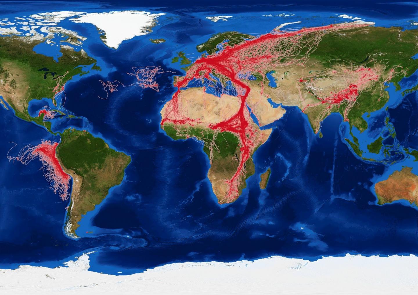 Data Worldmap