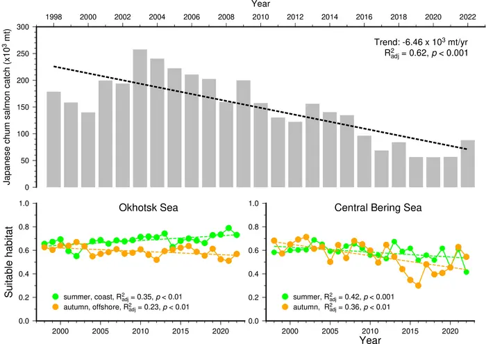Declining Japanese chum salmon catch from 1998 to 2022 correspond with a significant decrease in suitable habitat in offshore Okhotsk Sea and central Bering Sea during summer and autumn