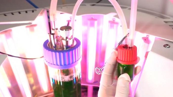 Photobioreactor