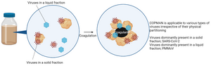 COPMAN method is suitable for virus detection in both solid and liquid fractions of wastewater