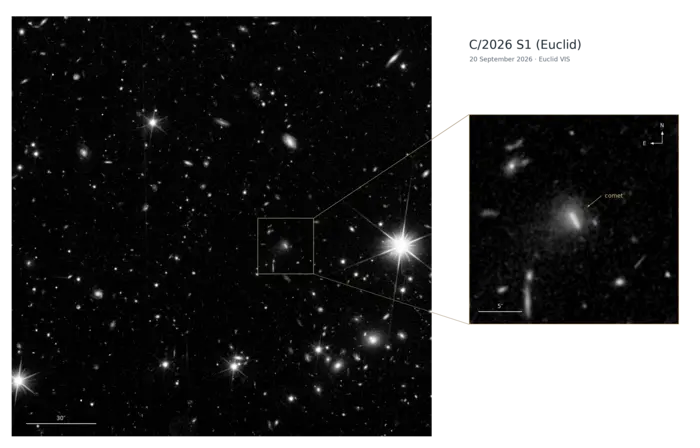 Comet C/2026 S1 (Euclid) observations in context