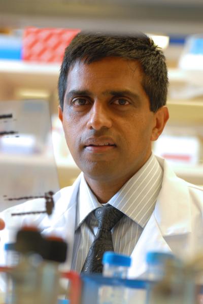 Possible Protein Targets in Diabetes