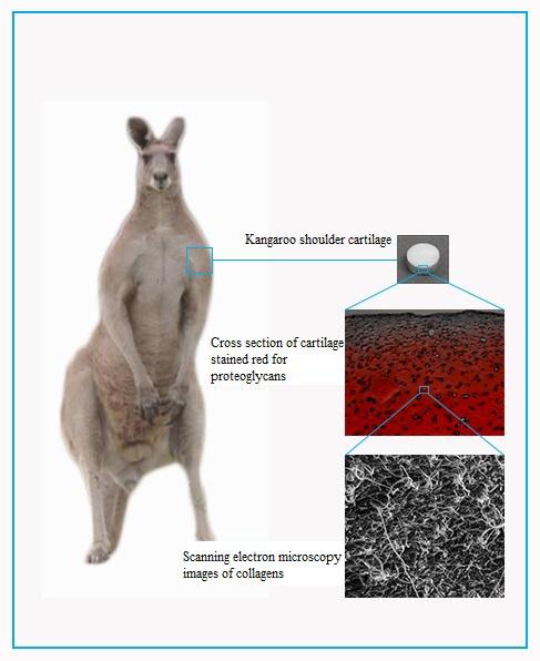 New Research 