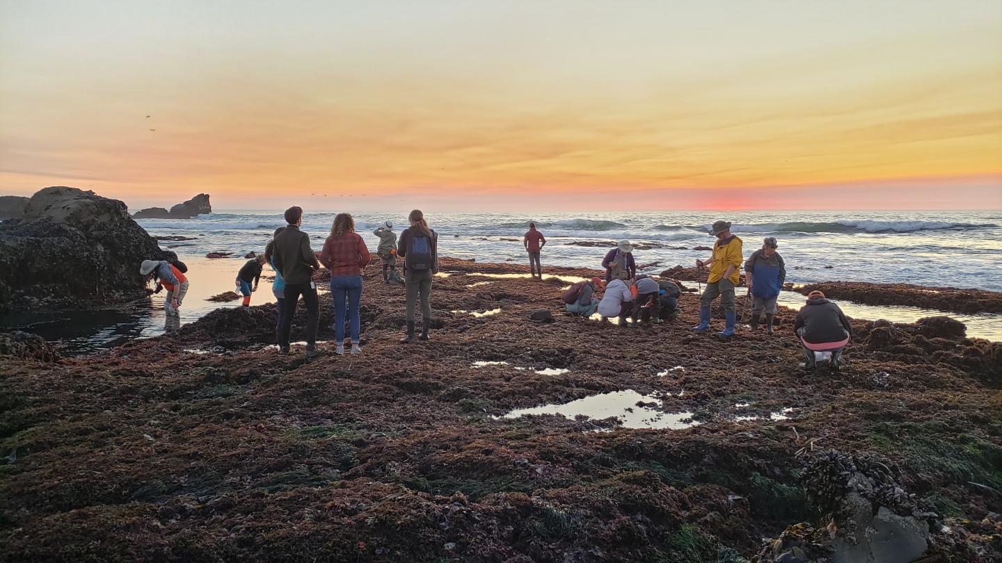 Community scientists at sunset