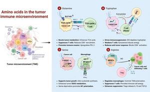Amino acid metabolism in the TIME.