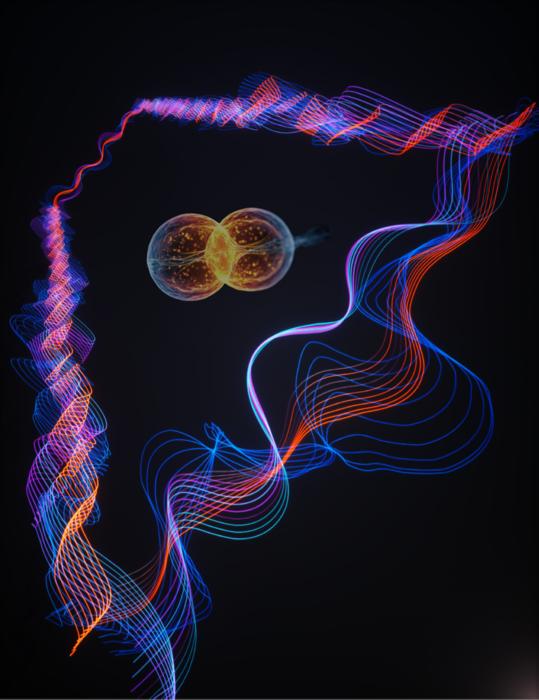 Topological exciton insulator